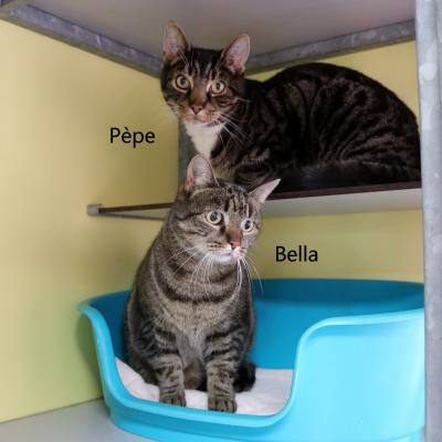 Bella en Pèpe
